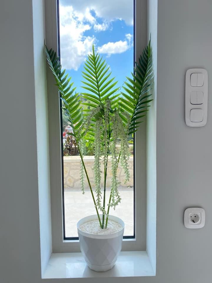Grey Luxury House Apartment Ipsos Bagian luar foto
